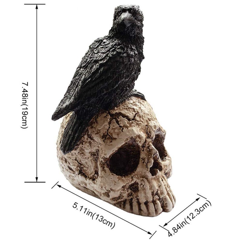 ThriBartLive Raven On Skull Halloween Home Decor - Gothic Crow On Skull Statue, Bird Perching On Skeleton Figurine, Macabre Ossuary Sculpture - Image 2